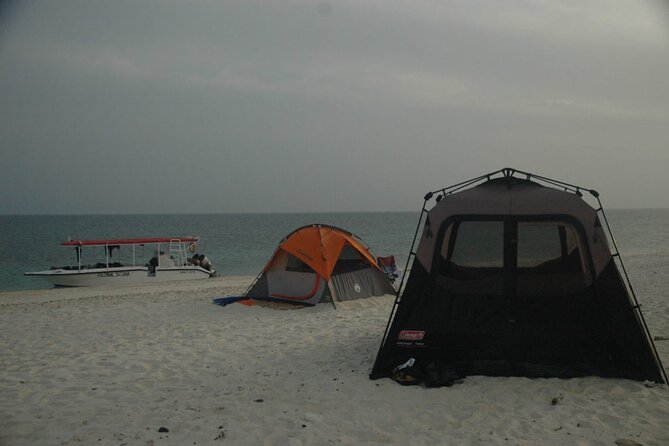 Snorkeling trips to Daymaniat Islands Sharing Trip - Morning timing, weather, and the boat ride