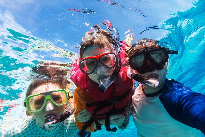 Snorkeling trips to Daymaniat Islands Sharing Trip - Who will enjoy this outing most?
