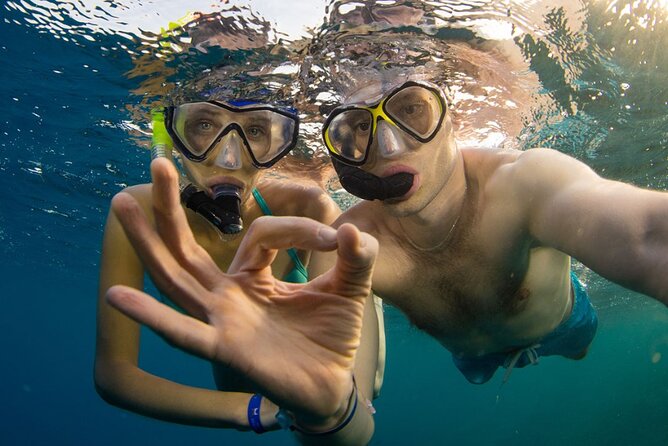 Snorkeling trips to Daymaniat Islands Sharing Trip - What the snorkeling stops are like