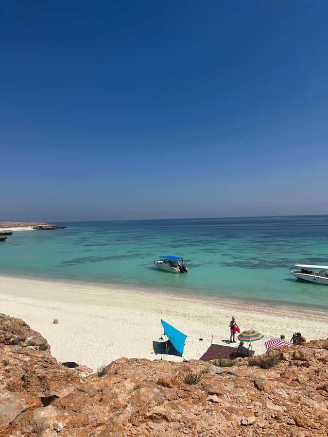 Snorkeling with turtles at Ad Daymaniyat Islands - Why Ad Dimaniyat Islands make a strong snorkeling choice