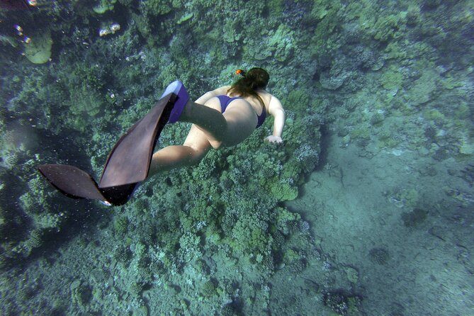 Snorkelling tours to Daymaniyat island - Getting to the boat at Seeb Marina