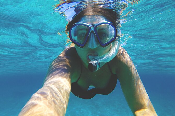 Snorkelling tours to Daymaniyat island - Two snorkeling locations, two different chances to see wildlife