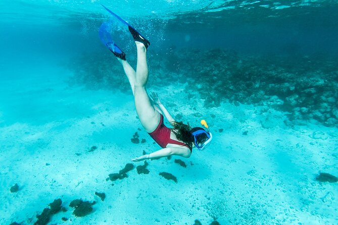 Snorkelling tours to Daymaniyat island - How the $85 price stacks up