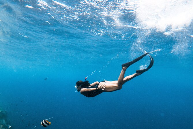 Snorkelling tours to Daymaniyat island - Rough seas, visibility, and realistic expectations