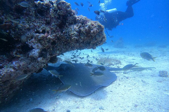 Snorkelling tours to Daymaniyat island - The boat ride and facilities on board