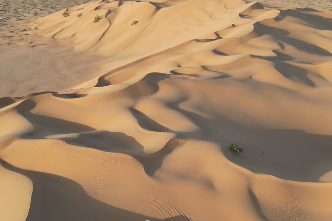 Sunset desert safari Salalah with Dinner in a Bedouins camp - Ubar, the desert city with an entrance fee