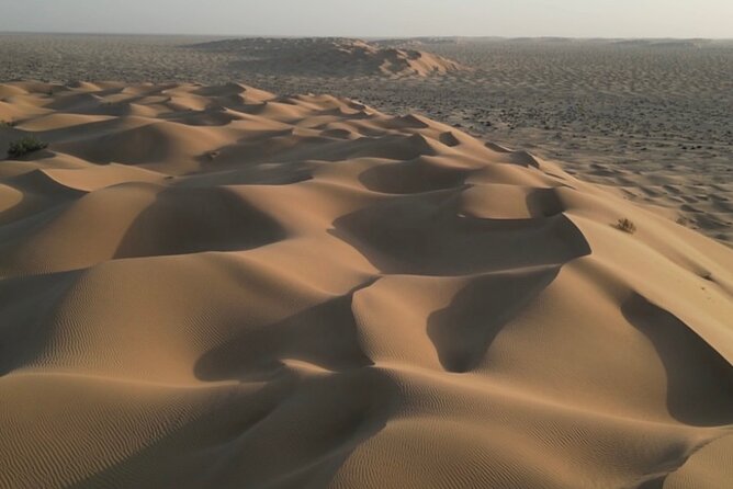 Sunset desert safari Salalah with Dinner in a Bedouins camp - Dinner at the Bedouin camp