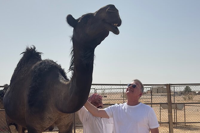 Sunset desert safari Salalah with Dinner in a Bedouins camp - Timing, comfort, and who should book