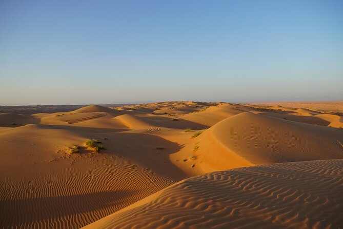 Sunset in Wahiba Sands 4x4 Adventure - One Hour of Dune Bashing in Wahiba Sands