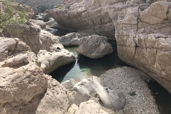 Tour Jawahir 2 Days-1 Night In Wahiba Sands, Oman Tours Package - Who will enjoy this Oman tour most?