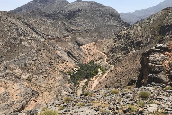 Tour Shahad 4 Days-3 Nights, Oman Tours Package - Day 3: Wadi Bani Khalid, Sur, and Ras Al Jinz