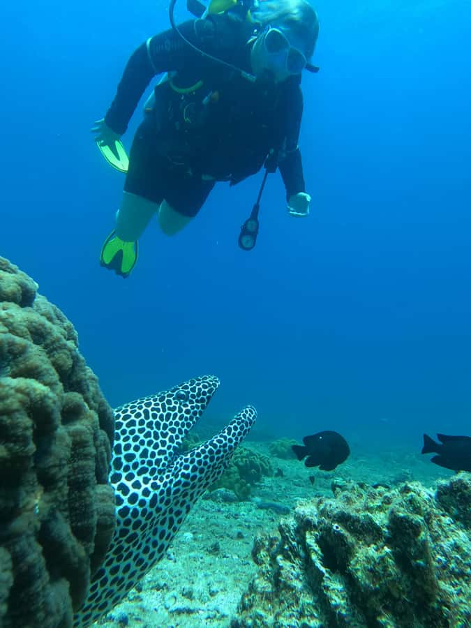 Try scuba Diving Tours To Daymaniyat Islands. - Meeting at Seeb Marina at 8:15 AM