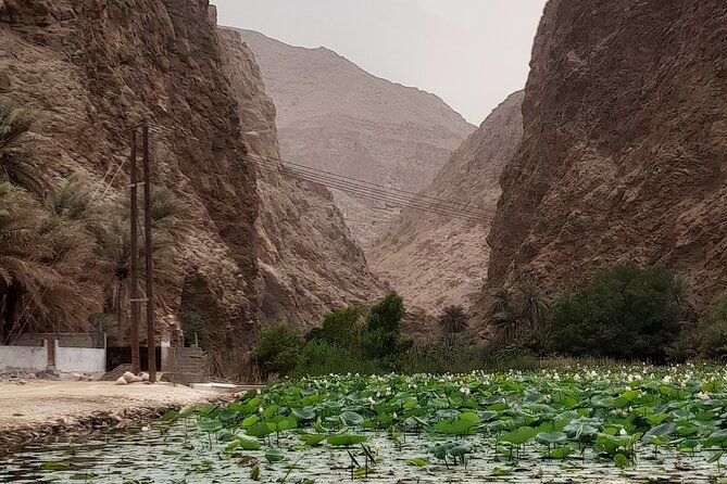Wadi Shab Expedition - What the 45-minute hike is really like