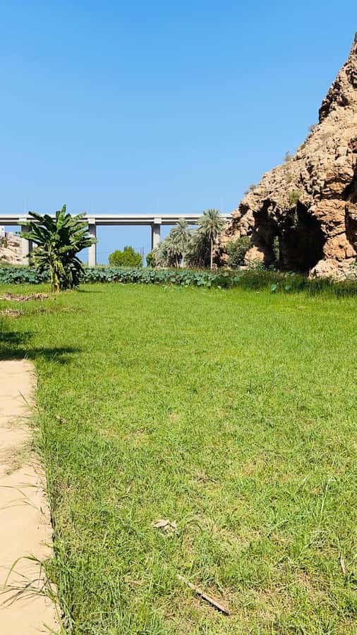 Wadi Shab Parking Meet the Local Guide for Self drivers - Key points to know before booking