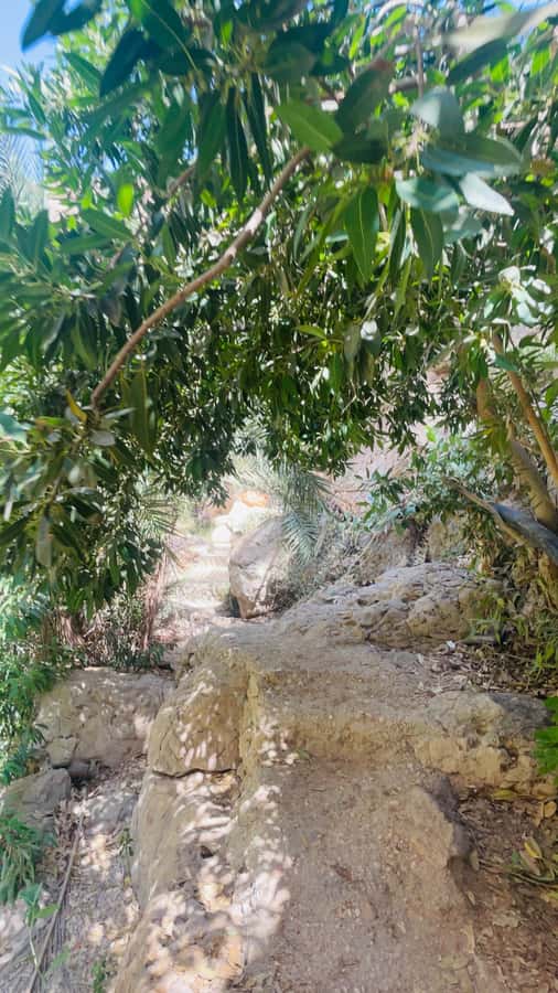 Wadi Shab Parking Meet the Local Guide for Self drivers - Thirty minutes in the pools and the route to the cave