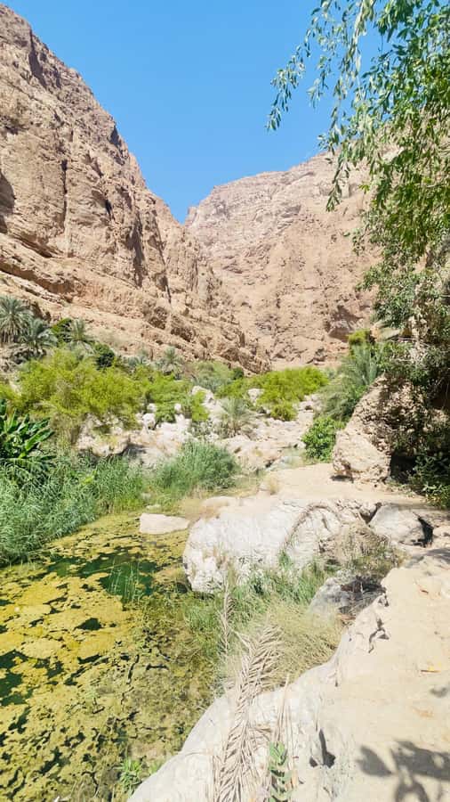 Wadi Shab Parking Meet the Local Guide for Self drivers - The return hike and five-minute boat crossing