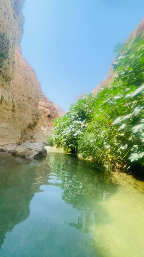 Wadi Shab Parking Meet the Local Guide for Self drivers - What to bring and what to leave behind