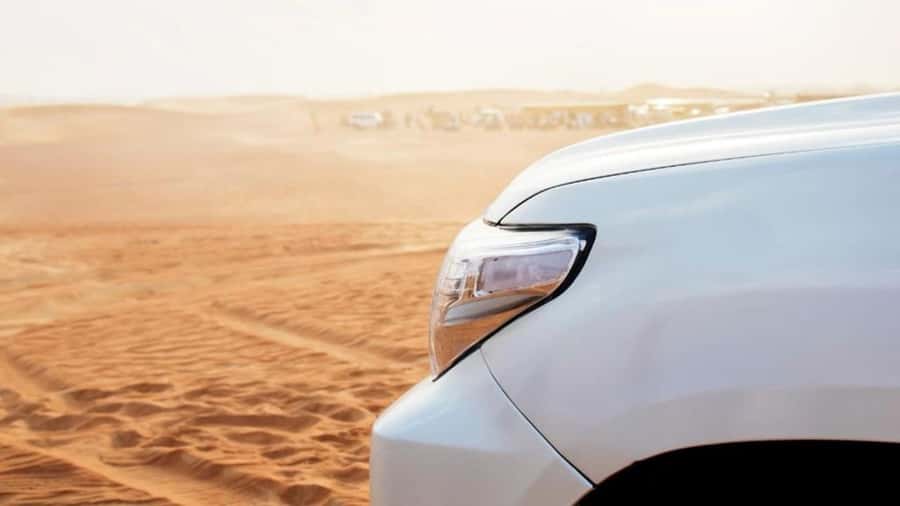 Wahiba Sand and Wadi Bani Khalid Guided Group Tour - Who will enjoy this tour most