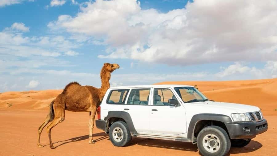 Wahiba Sand and Wadi Bani Khalid Guided Group Tour - Why this day works as an Oman double feature