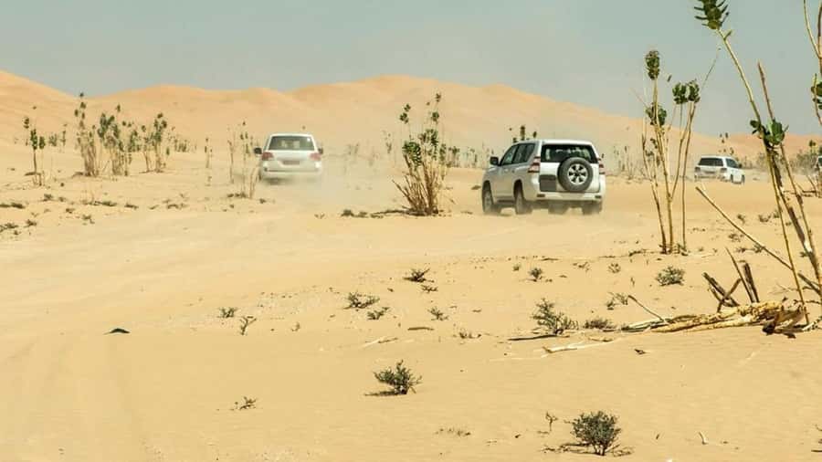 Wahiba Sand and Wadi Bani Khalid Guided Group Tour - Bedouin homes, camels, and a closer look at desert life