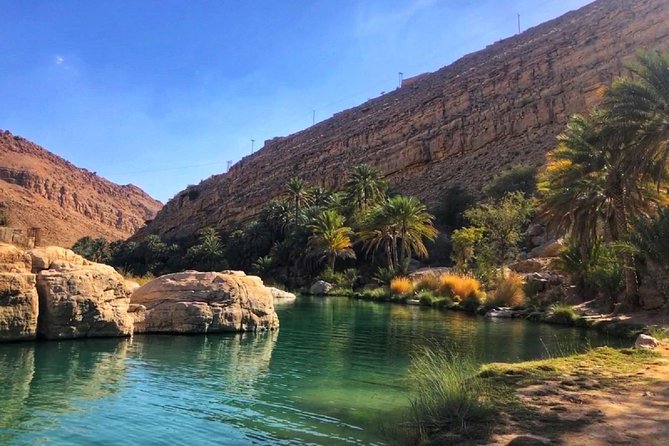 Wahiba Sands and Desert Safari from Muscat - Who will get the most from this Oman tour
