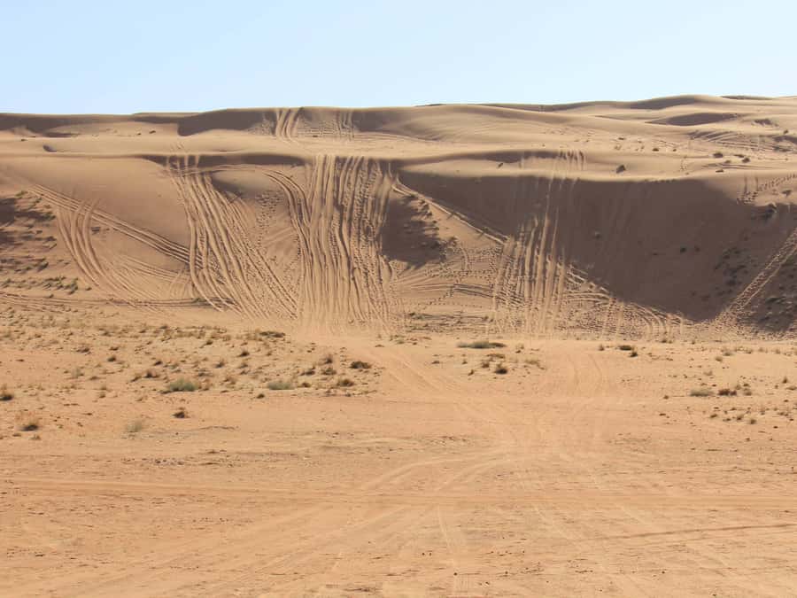 Wahiba Sands and Wadi Bani Khalid Full-Day Tour from Muscat - Who will enjoy this Oman day trip?