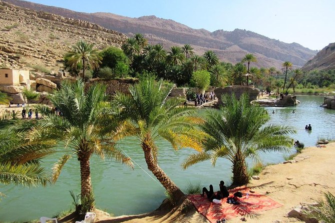 Wahiba Sands Safari with Wadi swimming and Camelride - From Muscat to the Wahiba Sands