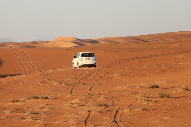 Wahiba Sands Safari with Wadi swimming and Camelride - Is $265.60 good value?