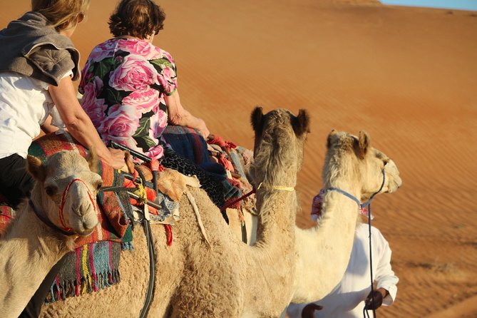 Wahiba Sands Safari with Wadi swimming and Camelride - Wahiba Sands and the 30-minute camel ride