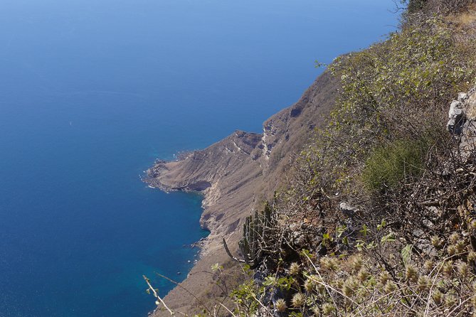 West Coast Mountains and Beaches (Fazayah beach + Shaat cliff) - Al Mughsail Beach and its lagoon birds