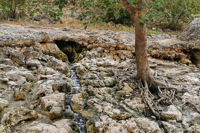 West Salalah, Al Mughsail Beach, White Beach, Frankincense Tree (Half day Tour) - Ayn Razat, White Beach, and an important route check