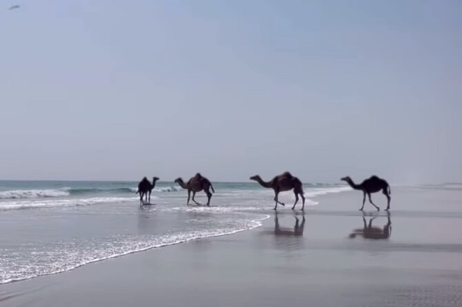 West Salalah Beaches and Blowholes - Afoul Beach: A Short Stretch of Calm