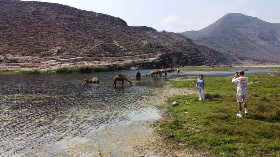 West Salalah Highlights: Coastal Wonders & Scenic Views - Key points at a glance