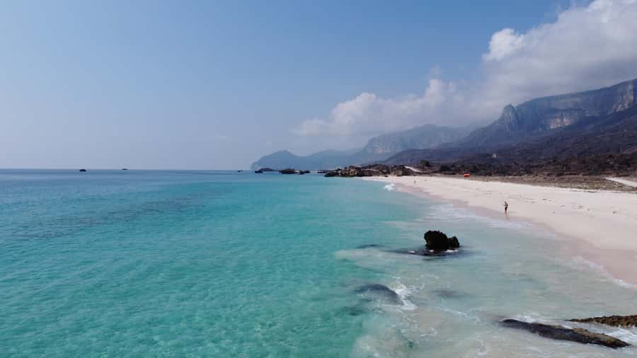 West Salalah Highlights: Coastal Wonders & Scenic Views - Frankincense trees connect nature with Dhofar’s past