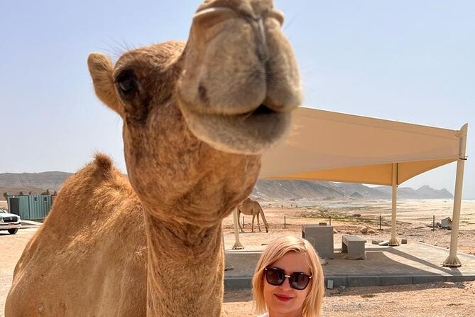 West Salalah Tour by VisitSalalah - Why This West Salalah Route Works
