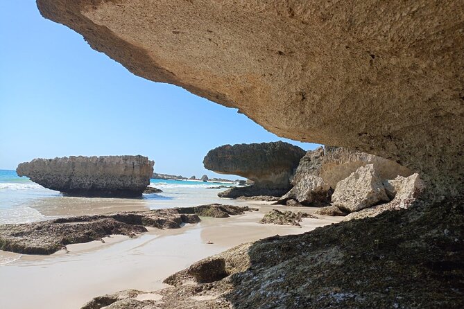 West Salalah Tour by VisitSalalah - Ain Garziz: A Quiet Start Among Dhofar’s Springs