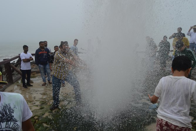 West Salalah Tour - Caribbean of Orient - Fazayah Beach with City - Seeing a Frankincense Tree in the Wild