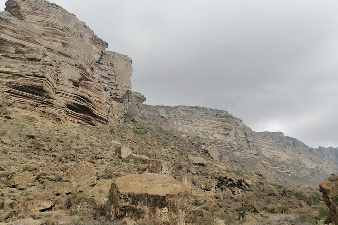 Where Sea Meets Rock: A Scenic Journey to West Salalah’s Shores - Why West Salalah deserves a half-day