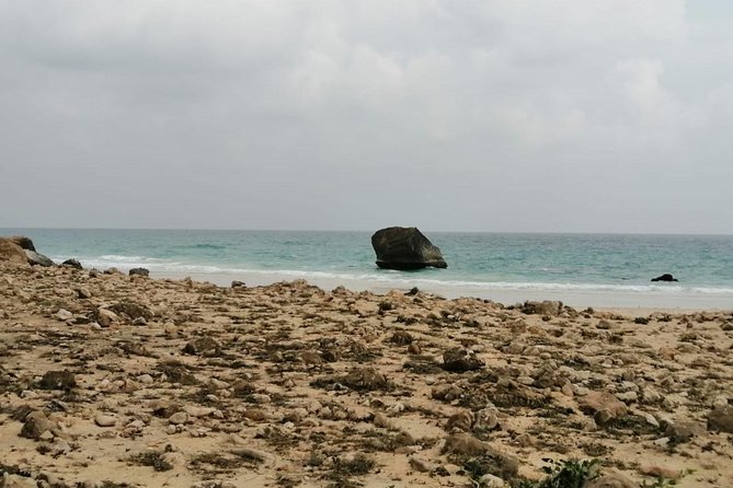 Where Sea Meets Rock: A Scenic Journey to West Salalah’s Shores - Al Fazayah Beach is where the schedule slows down